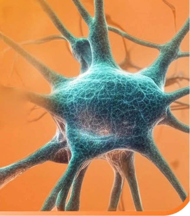 Күйзелісті кезеңдерді қалай жеңуге болады: магнийдің жүйке жүйесіндегі рөлі